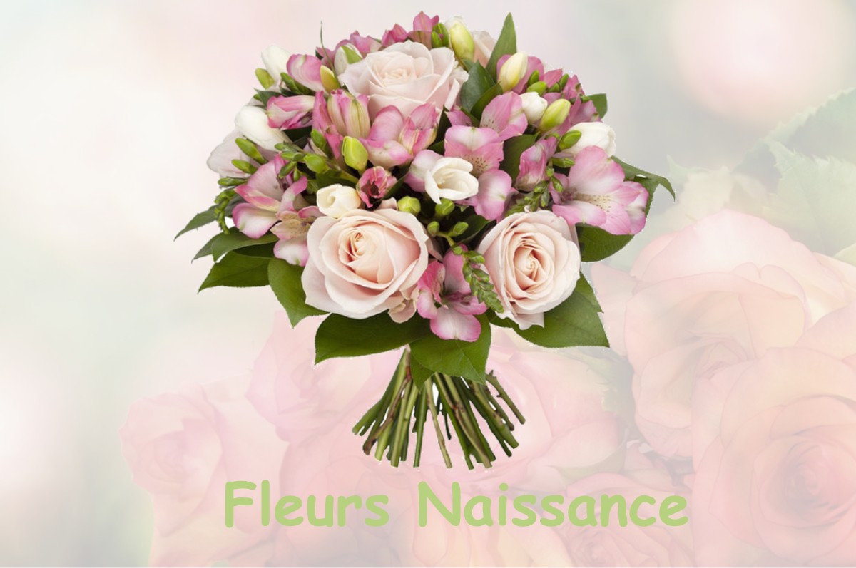 fleurs naissance DOMBRAS