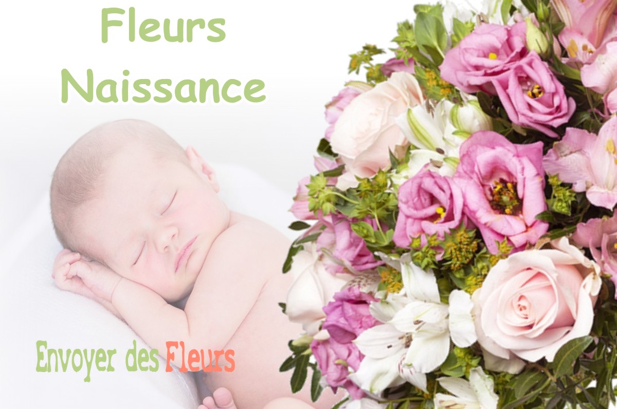 lIVRAISON FLEURS NAISSANCE à DOMBRAS