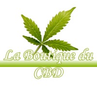 LA BOUTIQUE DU CBD DOMBRAS 